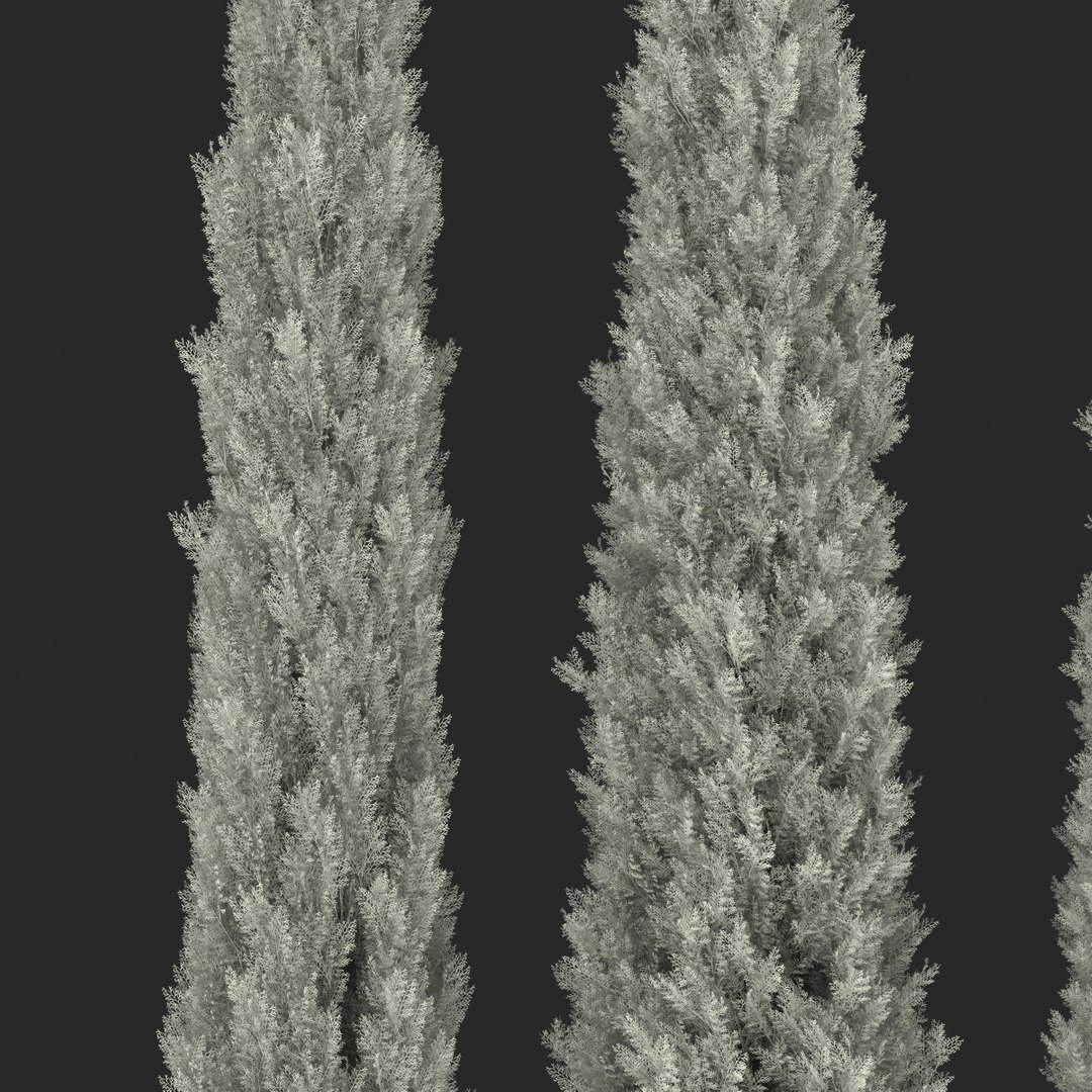 cypress trees set 3d 3ds https://p.turbosquid.com/ts-thumb/bh/3KUKQ2/v8OfRnf9/cypresstrees3dmodelsset47/jpg/1458447690/1920x1080/fit_q87/0cc618838c76fd2480ce97c94c4a1fe63118879d/cypresstrees3dmodelsset47.jpg