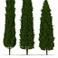 Cypress Trees 3D Models Set