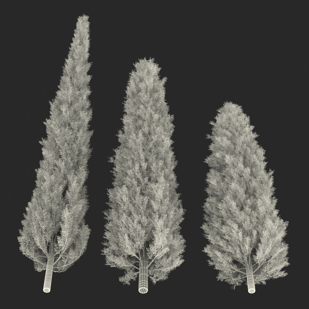 cypress trees set 3d 3ds https://p.turbosquid.com/ts-thumb/bh/3KUKQ2/zKhB4fYh/cypresstrees3dmodelsset39/jpg/1458447689/1920x1080/fit_q87/9c6e18f0631002b8e5ddea0e084e9a759f374b7a/cypresstrees3dmodelsset39.jpg