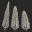 Cypress Trees 3D Models Set