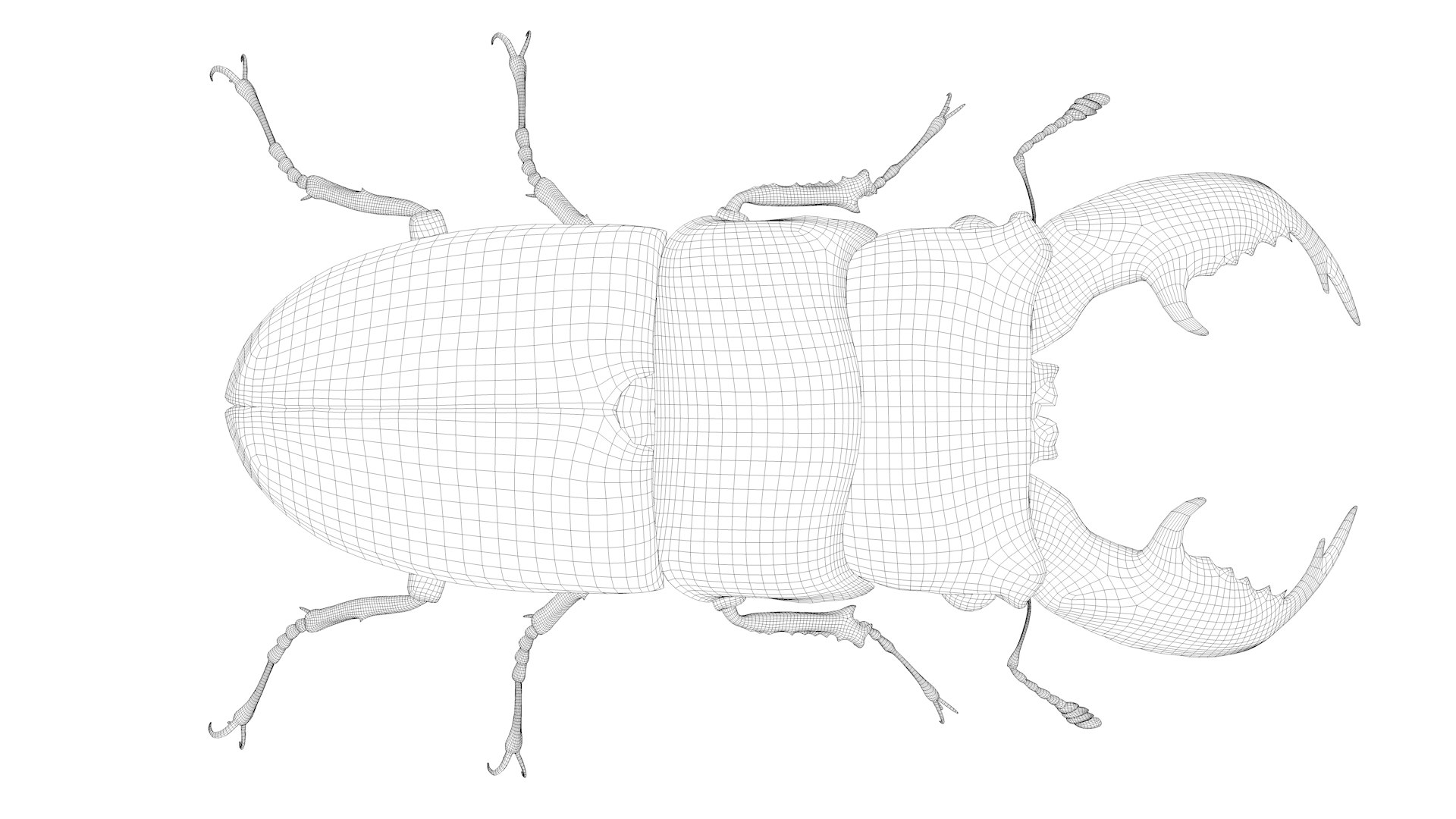 3D stag beetle https://p.turbosquid.com/ts-thumb/bh/5bENqi/8WaXth7Z/9/png/1563281941/1920x1080/fit_q87/335bafecbc24b0ff5dae6dee013af7e4f1fc36b5/9.jpg