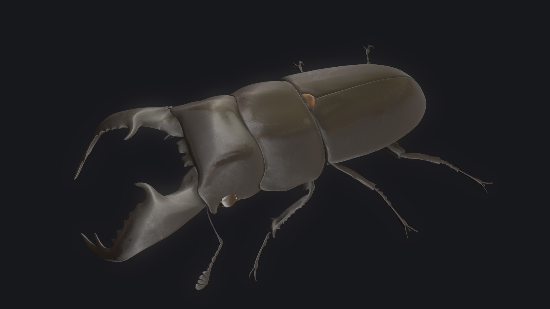 3D stag beetle https://p.turbosquid.com/ts-thumb/bh/5bENqi/VFSC5JoB/7/png/1563281941/1920x1080/fit_q87/ae0f53141fb33ab7b9426c0ec5c40db1d9292232/7.jpg