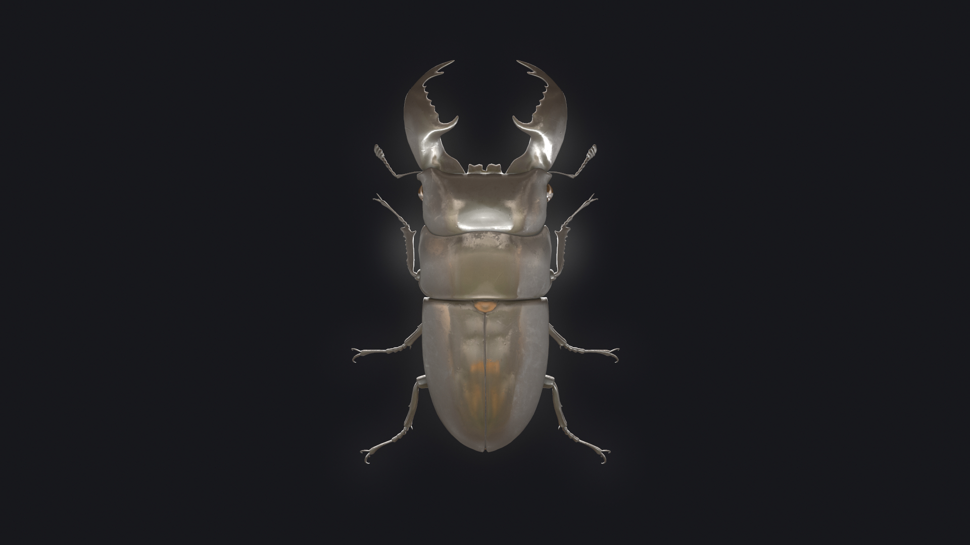 3D stag beetle https://p.turbosquid.com/ts-thumb/bh/5bENqi/WWfcPKlq/1/png/1563282078/1920x1080/turn_fit_q99/3407f26663206868f18dc6453712e4c18242f7e4/1-1.jpg