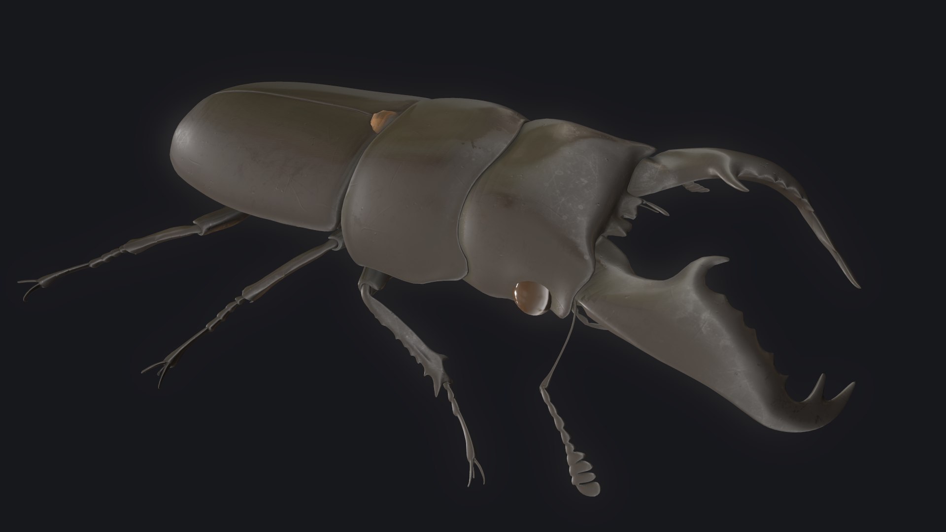 3D stag beetle https://p.turbosquid.com/ts-thumb/bh/5bENqi/X8pSuou4/12/png/1563281942/1920x1080/fit_q87/9655d487c6a6e2429a8818cf022a352495c5141f/12.jpg