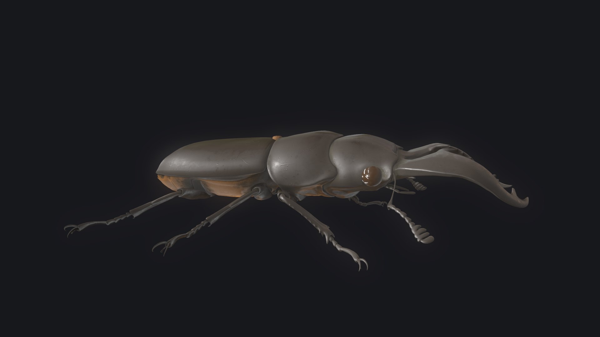 3D stag beetle https://p.turbosquid.com/ts-thumb/bh/5bENqi/efdJ8daP/10/png/1563281941/1920x1080/fit_q87/e5e972431972621b8614d599dcf6546a8f63e74d/10.jpg