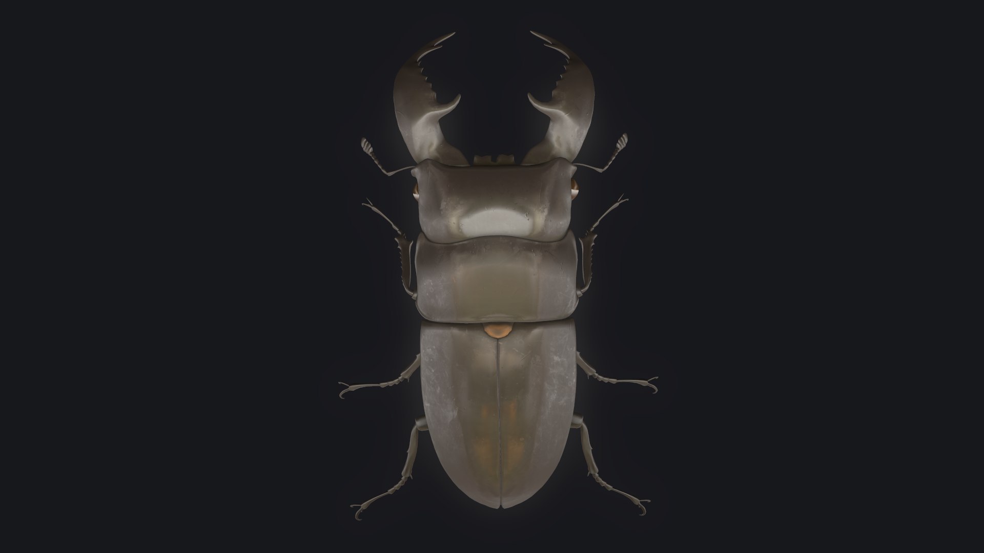 3D stag beetle https://p.turbosquid.com/ts-thumb/bh/5bENqi/hHPbAxoq/3/png/1563281941/1920x1080/fit_q87/637459f8dd79fffaf20999b7e09a0a5d1cb68cb0/3.jpg