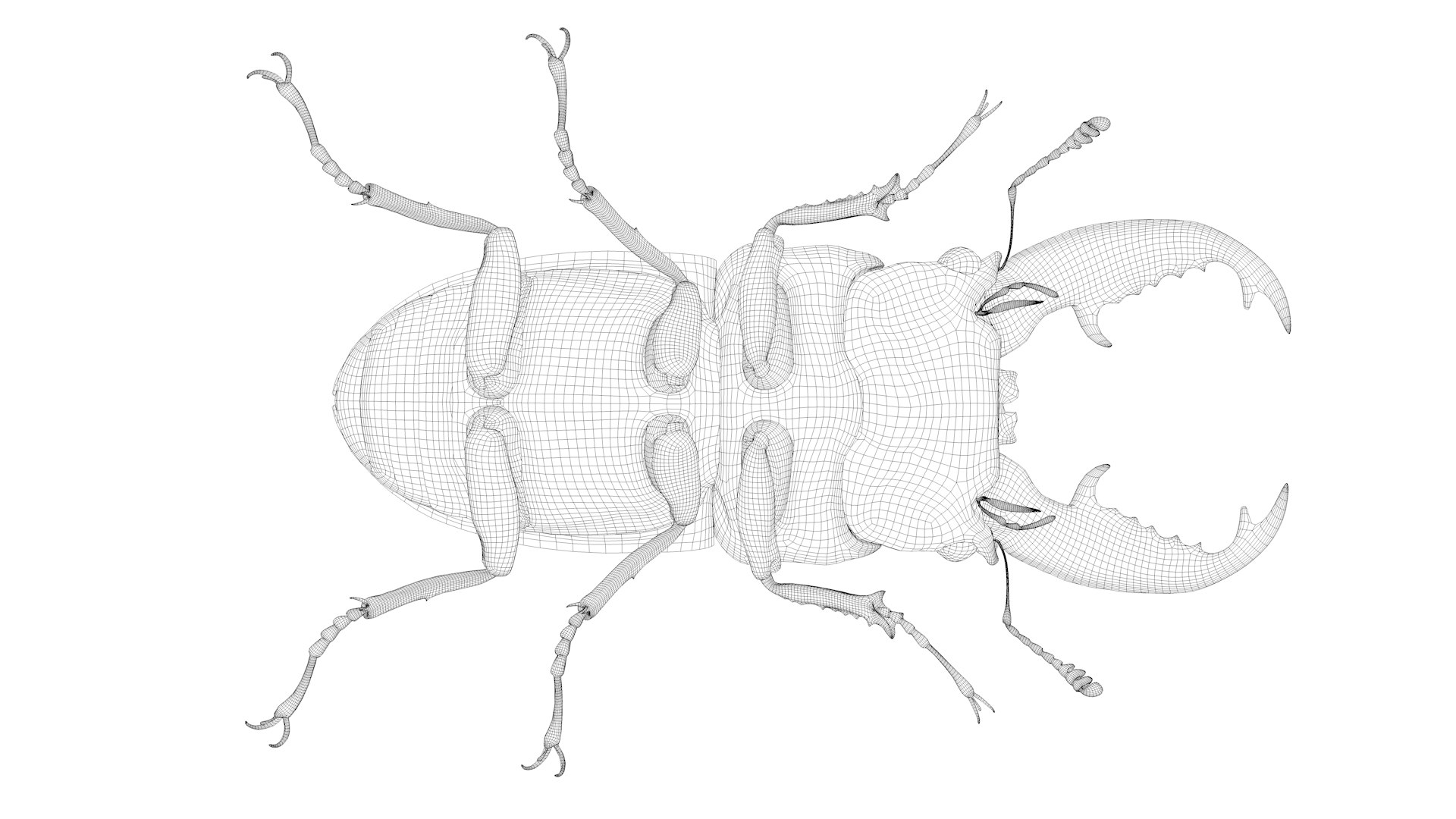 3D stag beetle https://p.turbosquid.com/ts-thumb/bh/5bENqi/mmEpSZIZ/8/png/1563281941/1920x1080/fit_q87/270dbffcf28e307f7281a01758ee48fb44e36ac1/8.jpg