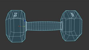 3D york dumbbell
