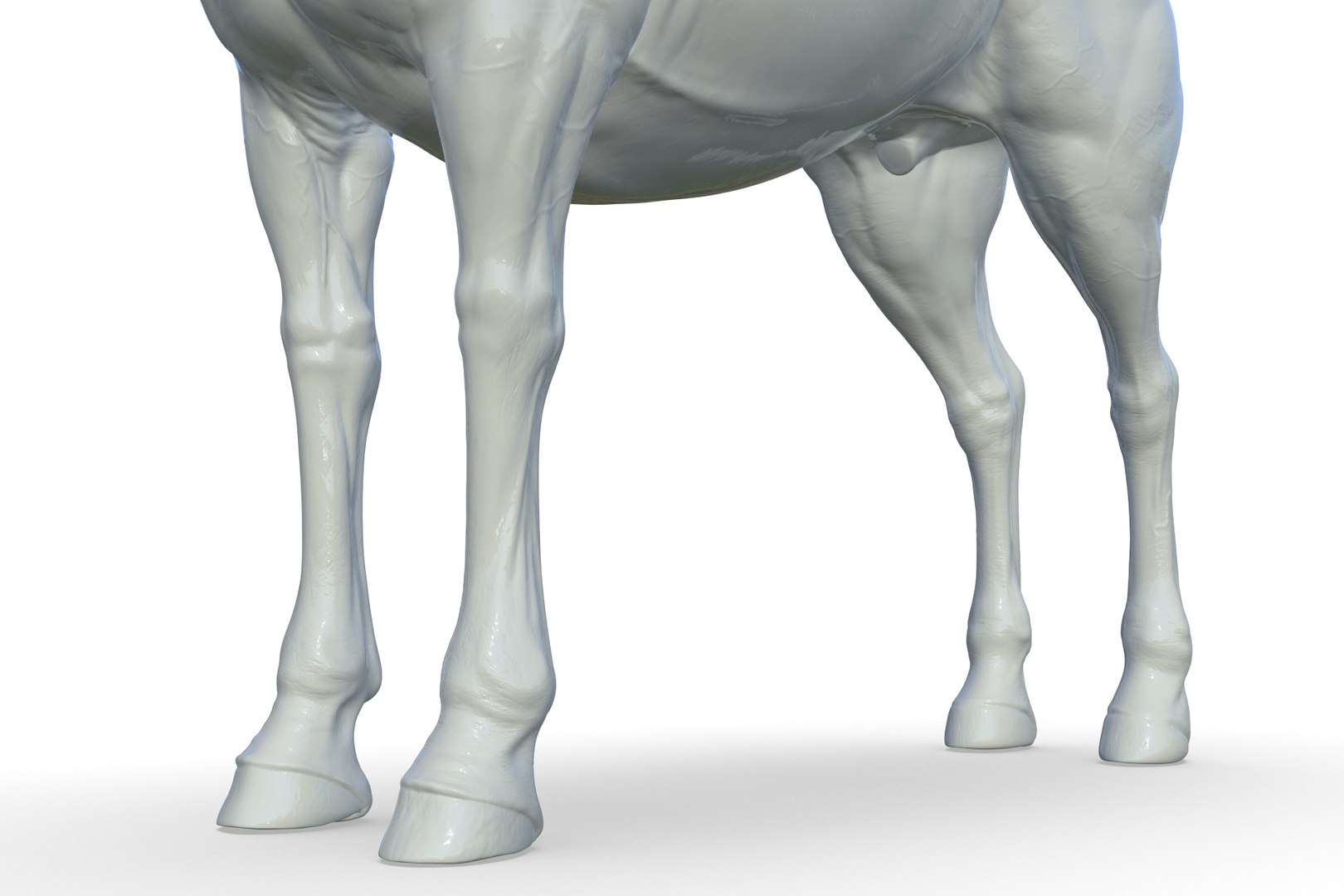 3D Horse model https://p.turbosquid.com/ts-thumb/bh/NRtaeg/6L/render_18/jpg/1711296077/1920x1080/fit_q87/0de6ec373fc5fd905c01840a39e78f8f72282c45/render_18.jpg