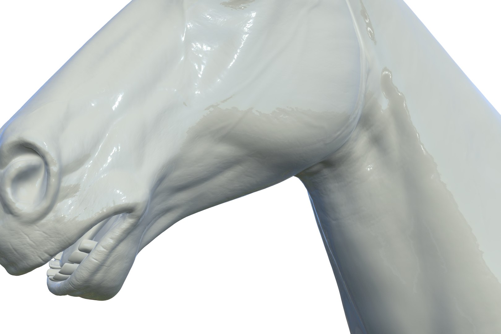 3D Horse model https://p.turbosquid.com/ts-thumb/bh/NRtaeg/DE/render_16/jpg/1711296075/1920x1080/fit_q87/a895b71f4debfd03514c9e987b4667d1f7bb2385/render_16.jpg