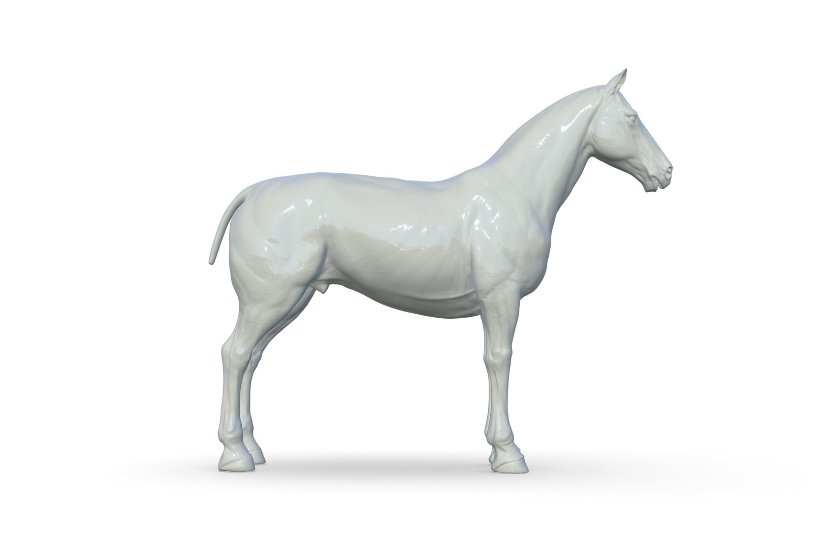 3D Horse model https://p.turbosquid.com/ts-thumb/bh/NRtaeg/Xq/render_09/jpg/1711296070/1920x1080/fit_q87/c9190067c7587d7214201f0627231a3b21cec985/render_09.jpg
