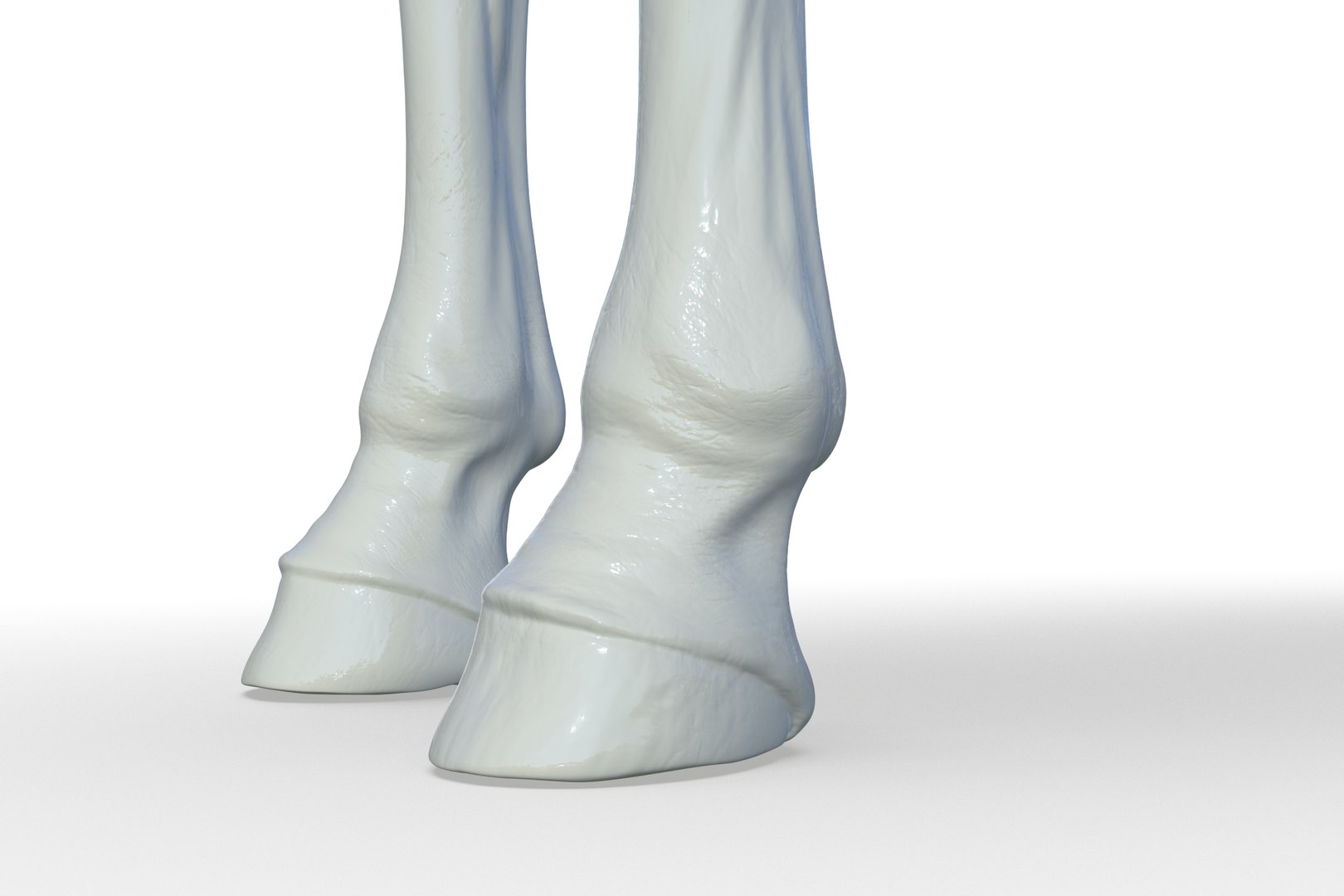 3D Horse model https://p.turbosquid.com/ts-thumb/bh/NRtaeg/gE/render_19/jpg/1711296078/1920x1080/fit_q87/d75437c2e4565eb0256100fa836dff7002fa73b5/render_19.jpg