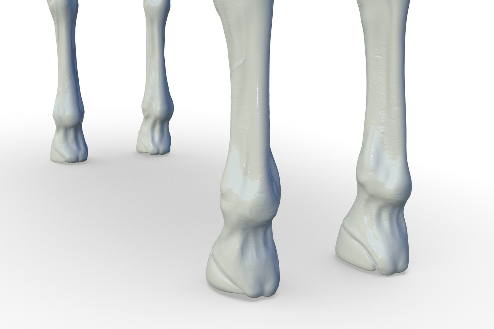3D Horse model https://p.turbosquid.com/ts-thumb/bh/NRtaeg/lI/render_21/jpg/1711296079/1920x1080/fit_q87/656363af5d5837f1a1d3dd9259d250e5bd7df5c6/render_21.jpg