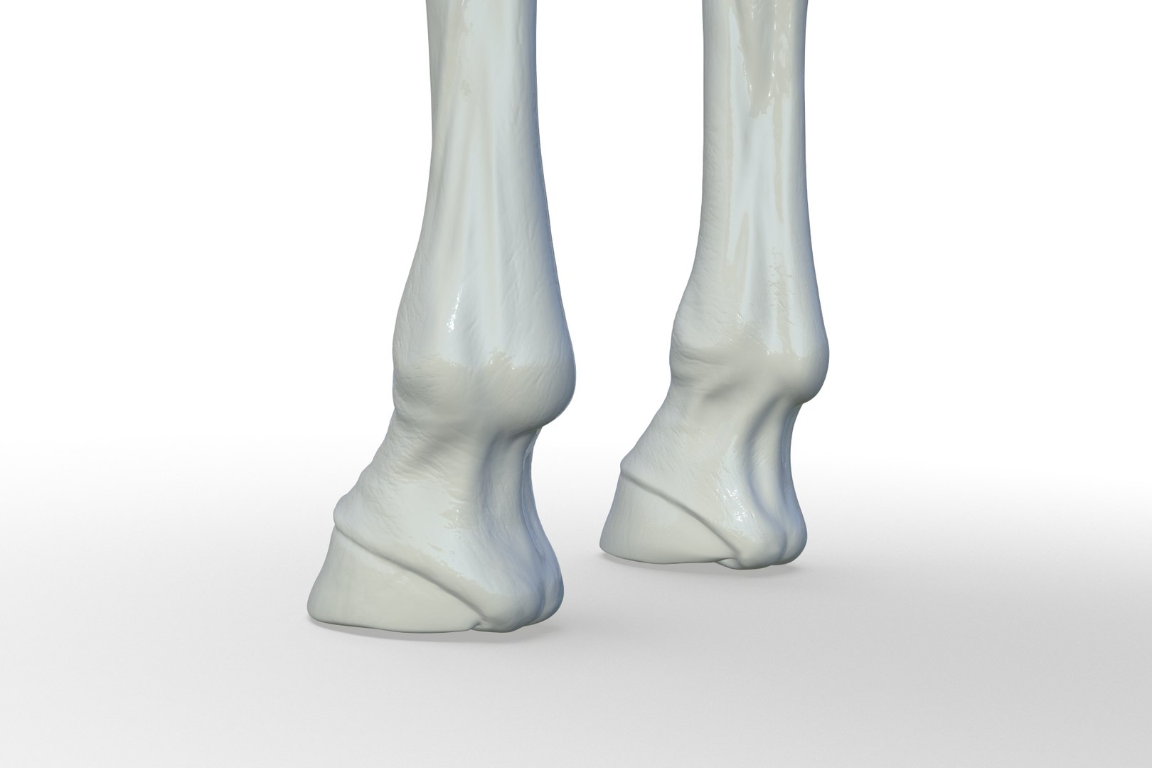 3D Horse model https://p.turbosquid.com/ts-thumb/bh/NRtaeg/lm/render_20/jpg/1711296079/1920x1080/fit_q87/52f6a9f91e896a529e85458c66663f518ee69405/render_20.jpg