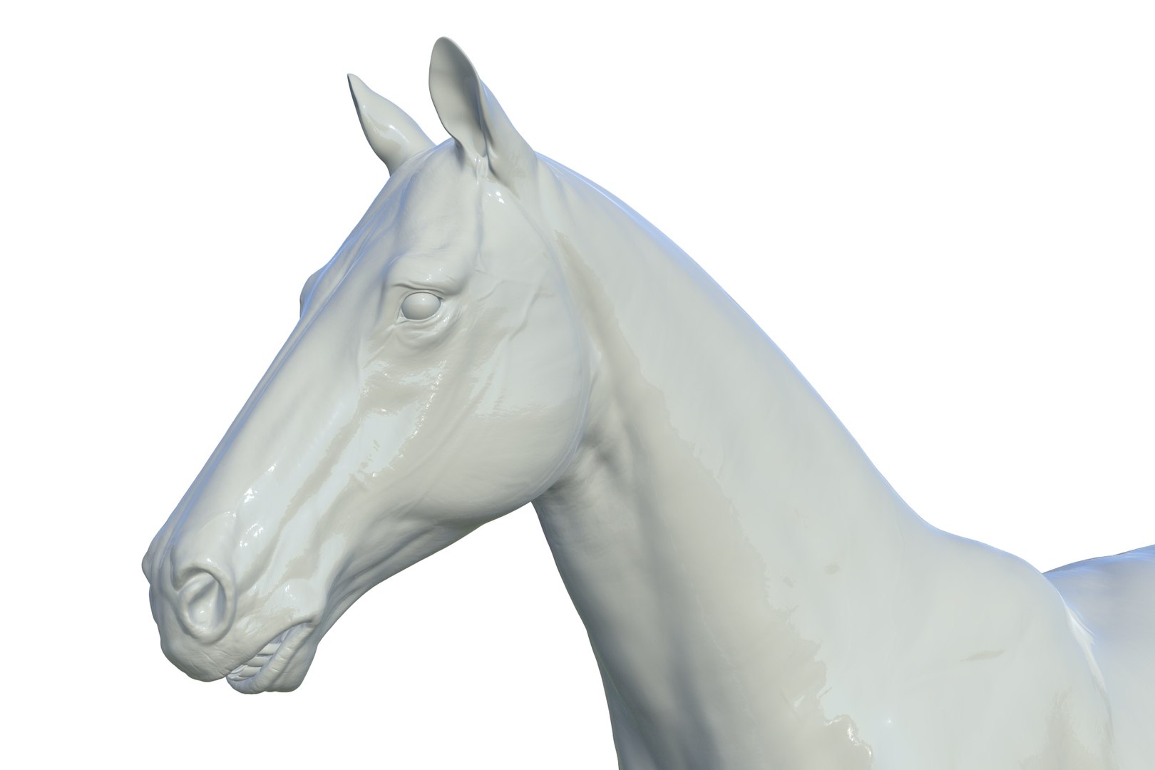 3D Horse model https://p.turbosquid.com/ts-thumb/bh/NRtaeg/t7/render_14/jpg/1711296073/1920x1080/fit_q87/875b40c29d81a32e37146c6989f7a0685c5bdd34/render_14.jpg