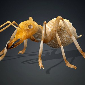 3D model Ant-V3c