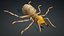 3D model Ant-V3c