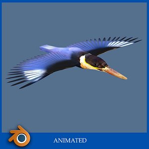 3d model kingfisher bird