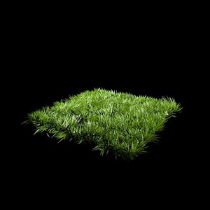 Realistic Grass 3D