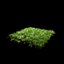 Realistic Grass