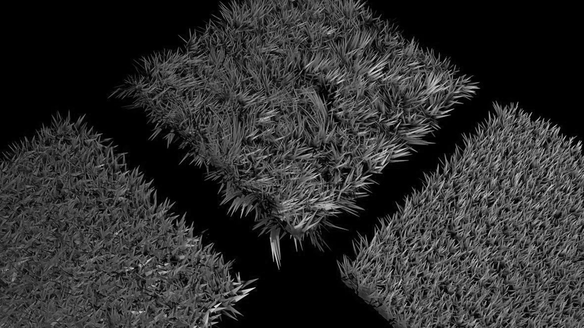 Realistic Grass 3D https://p.turbosquid.com/ts-thumb/bh/fgzMSm/7T/untitled1dff/jpg/1624398743/1920x1080/fit_q87/f6116d3eb1811692f3154fc26196956dd4fe962b/untitled1dff.jpg