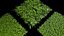 Realistic Grass