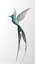 colibri