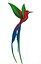 colibri