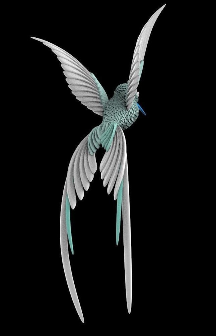 3D colibri https://p.turbosquid.com/ts-thumb/bh/fk4PVq/fJF7AoUU/colibrihummingbird3dmodelmaxobjfbx6/jpg/1573201465/1920x1080/fit_q87/a37d4960b1e8351cb99fd5f15069cfbd83549772/colibrihummingbird3dmodelmaxobjfbx6.jpg