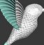 colibri