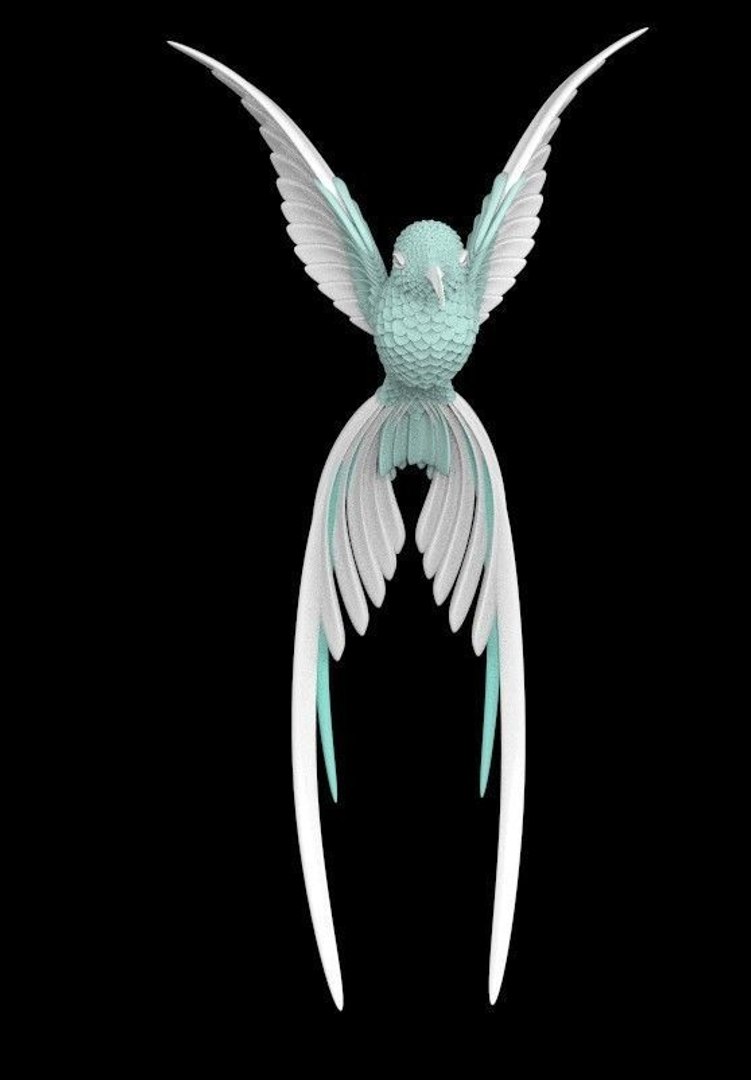 3D colibri https://p.turbosquid.com/ts-thumb/bh/fk4PVq/p60thARV/colibrihummingbird3dmodelmaxobjfbx11/jpg/1573201465/1920x1080/fit_q87/33b9c7ec5d325a31ba5b76fedb5521d682a1683c/colibrihummingbird3dmodelmaxobjfbx11.jpg
