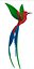 colibri