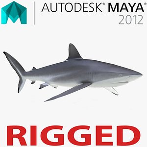 3d model silky shark rigged