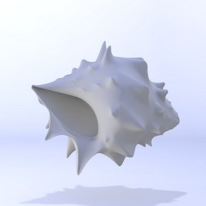 shell 3D model