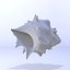 shell 3D model