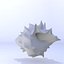 shell 3D model