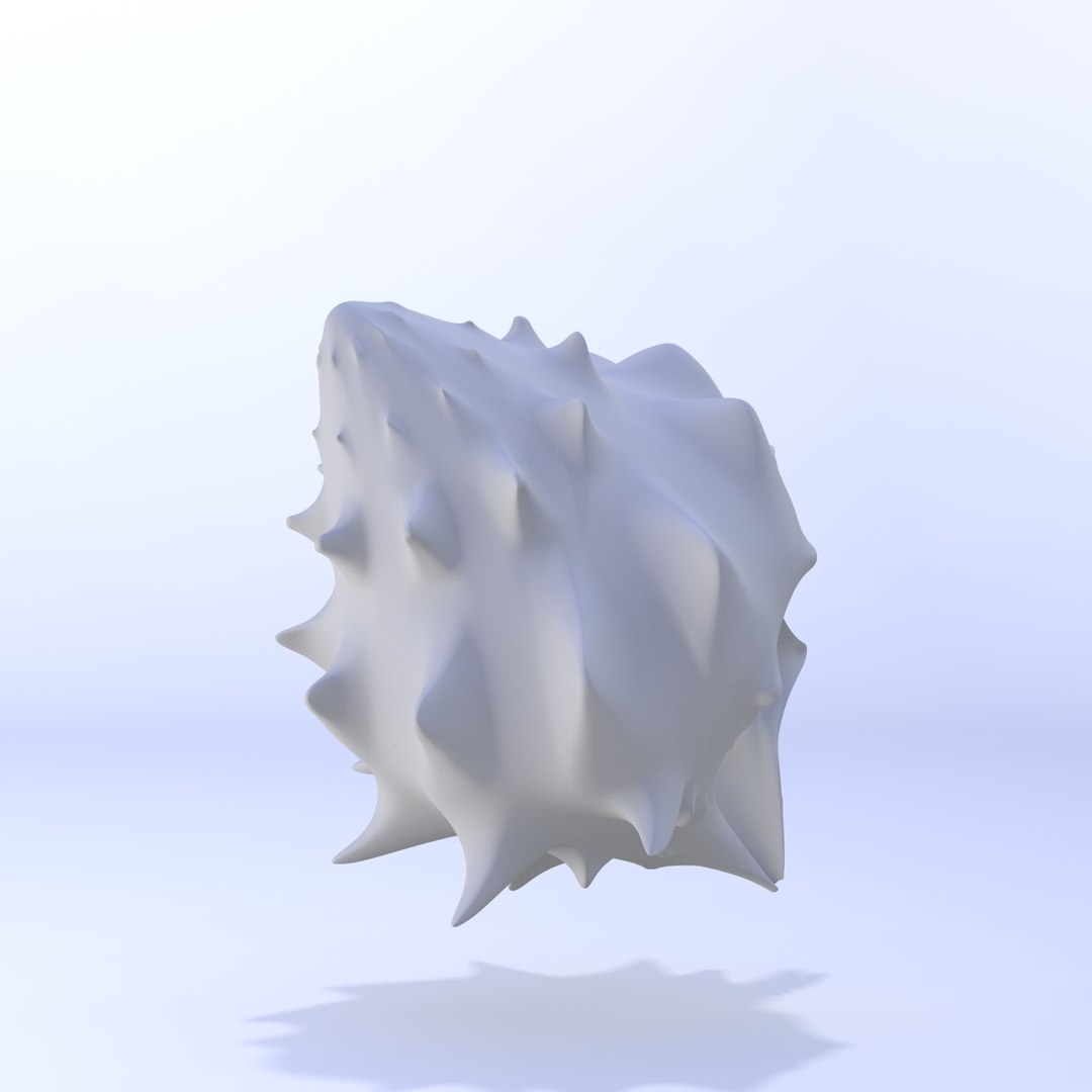 shell 3D model https://p.turbosquid.com/ts-thumb/bh/vY91MW/KABvY1i2/shell15/jpg/1500538894/1920x1080/fit_q87/2facff254d375bc1e2cabd7db87314988dbf6976/shell15.jpg