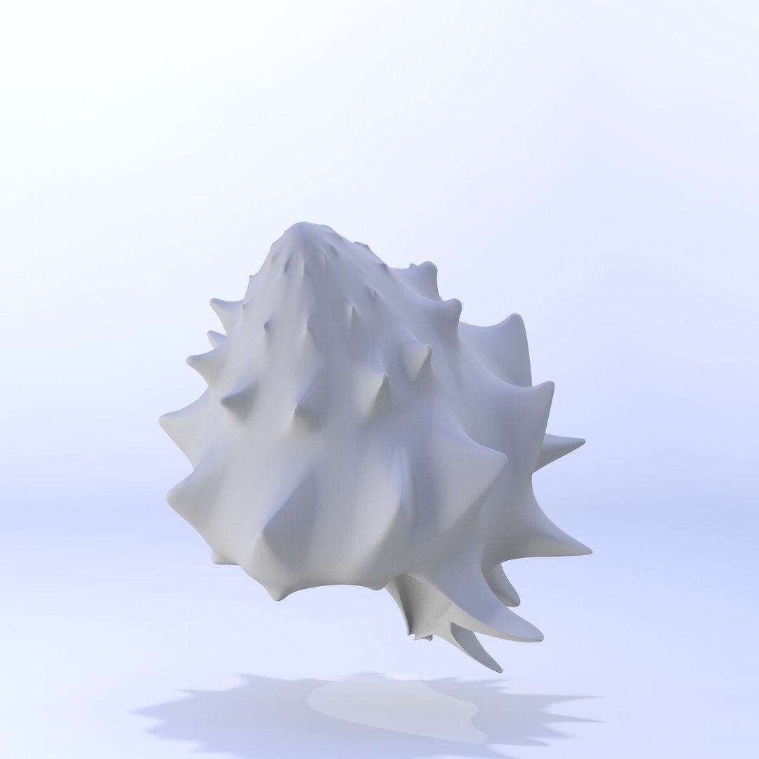 shell 3D model https://p.turbosquid.com/ts-thumb/bh/vY91MW/R1QCgdze/shell17/jpg/1500538894/1920x1080/fit_q87/30042ddb8bb274e6d76ff18176e1d0900befa65c/shell17.jpg