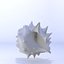 shell 3D model
