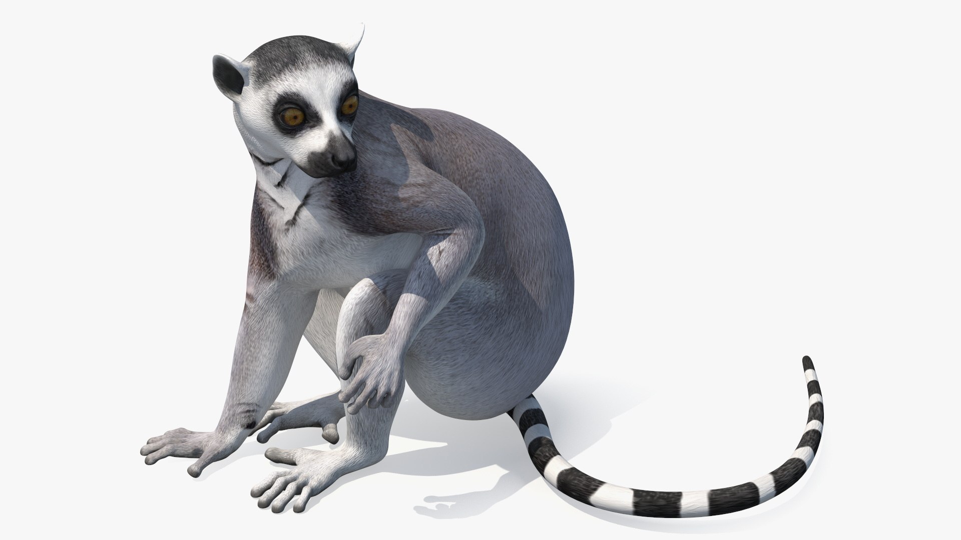 Lemur Rigged 3D model preview
