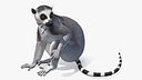 Lemur Rigged