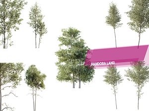 5 Different SETS Of Fall Trees