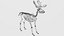 Moose Skeleton