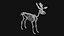 Moose Skeleton
