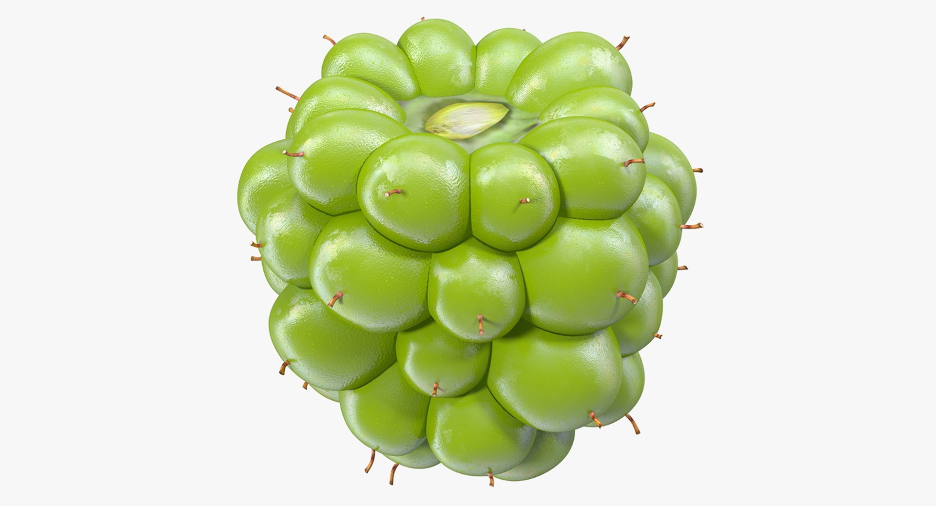 Unripe Green Blackberry Fruit 3D Model 3D model preview