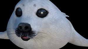 3D white seal pup
