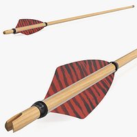 Traditional Hunting Arrow