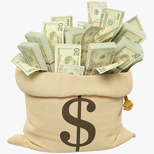 Money Bag V12 3D model