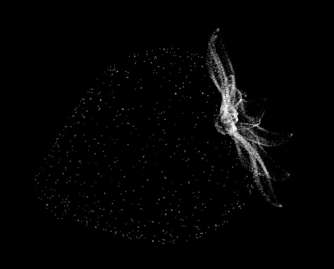 3ds Max Strawberry Fruit