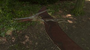 3D pterodactyl model